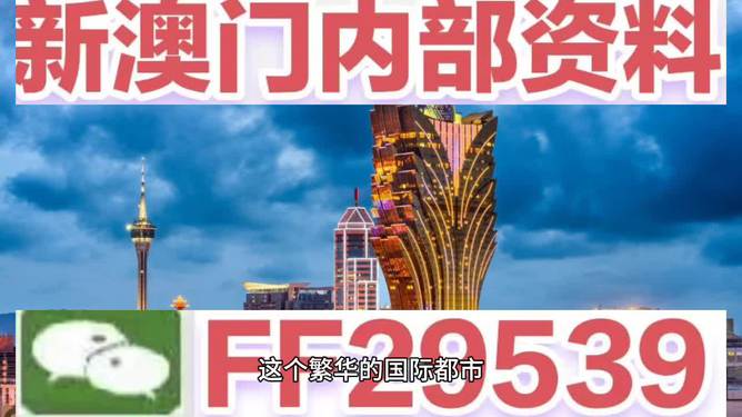 新澳門今晚特馬，探索與期待，澳門今晚特馬揭曉，期待與探索之旅