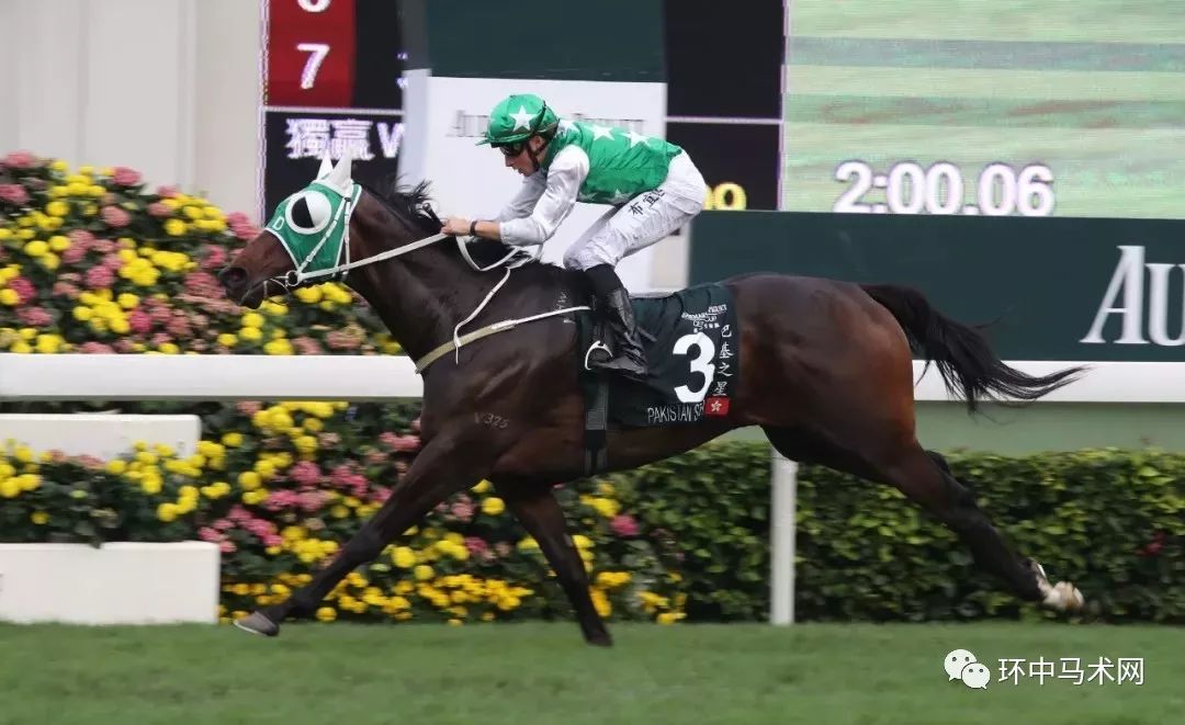 今晚上香港開特馬開什么，香港今晚特馬開獎結(jié)果揭曉