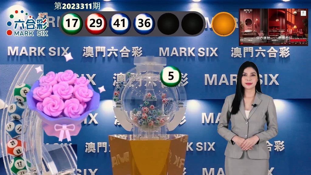 新澳門彩歷史記錄，澳門彩歷史記錄概覽