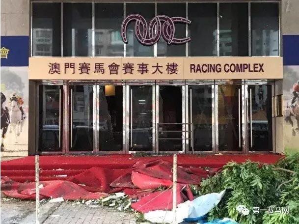 馬會傳真資料2025新澳門，澳門馬會傳真資料揭秘，探索未來的新篇章（2025）