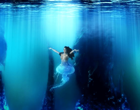 美人魚(yú)…澳門(mén)正版資料，美人魚(yú)澳門(mén)正版資料揭秘