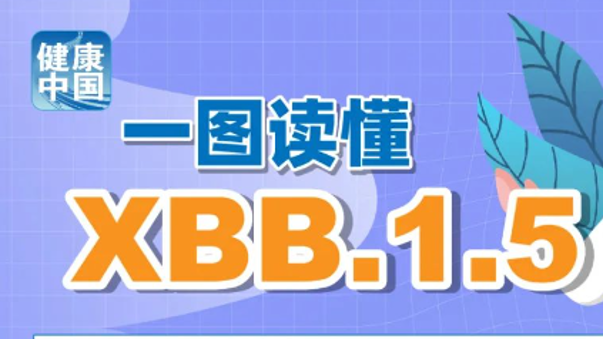 探索澳門，2025正版資料的魅力之旅，澳門之旅，探索魅力與2025正版資料之謎