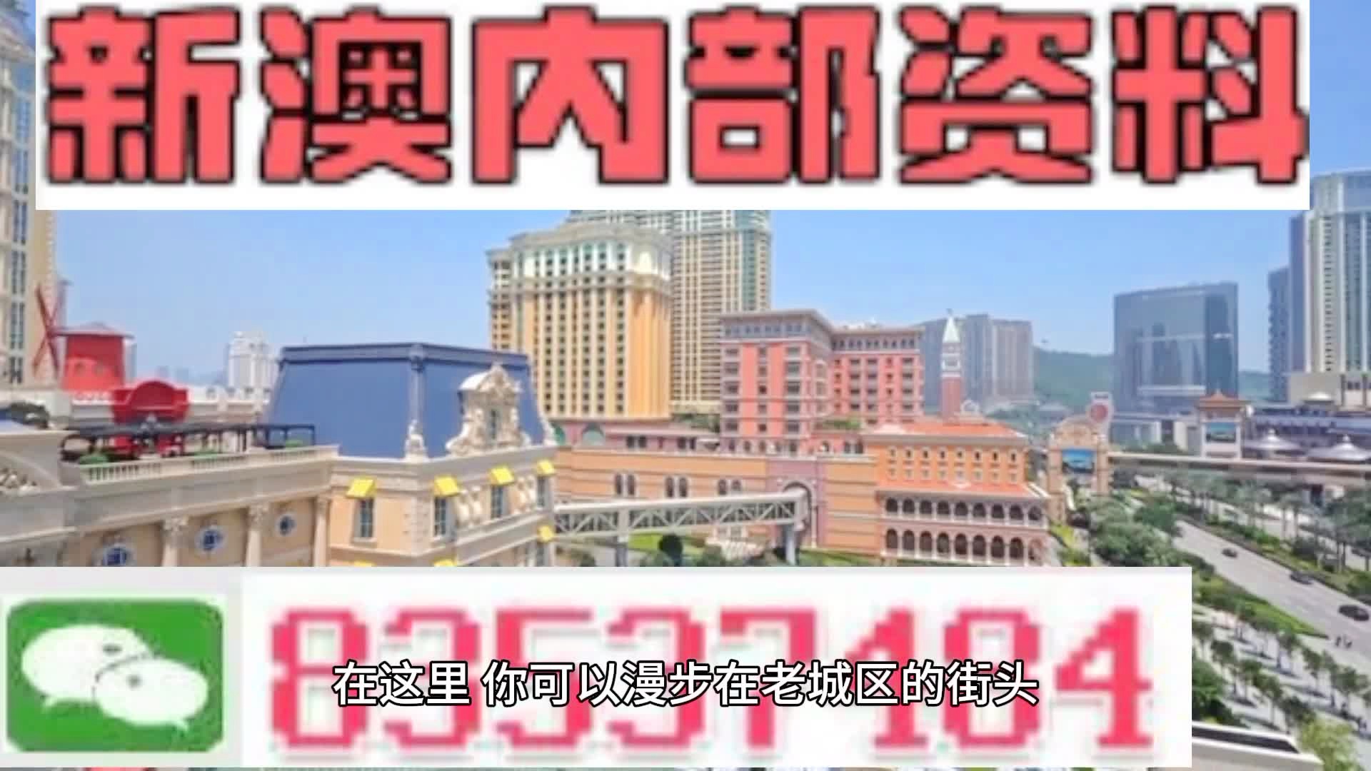 新澳門期期準(zhǔn)—探索澳門的最新魅力，澳門新魅力探索，期期精彩展現(xiàn)最新風(fēng)采