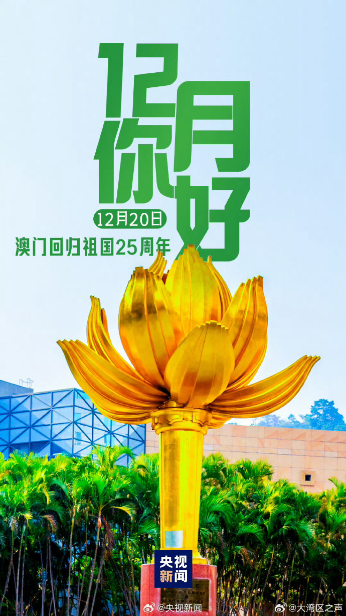 新2025澳門天天開(kāi)好，繁榮與活力的展望，澳門展望，繁榮與活力持續(xù)至2025年，天天開(kāi)啟新篇章