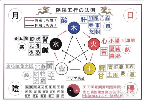 600圖庫大全免費資料圖2025197期金木水火土，『600圖庫大全免費資料圖金木水火土系列第2025197期』