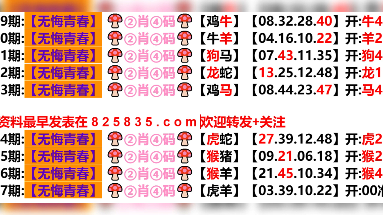 新奧門資料免費大揭秘，2025年49期前沿展望，新奧門資料免費揭秘與未來展望