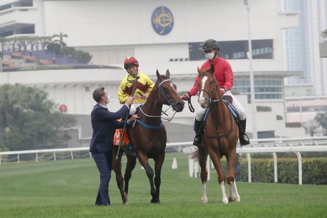 香港馬會(huì)今晚開獎(jiǎng)結(jié)果—全方位解讀賽馬盛宴，香港馬會(huì)今晚開獎(jiǎng)結(jié)果，全方位解讀賽馬盛宴精彩瞬間