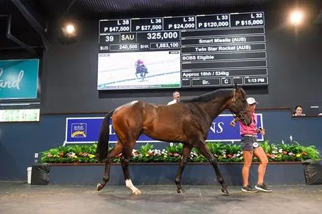 香港特馬開馬開獎結(jié)果7月24日，香港特馬7月24日開獎結(jié)果公布
