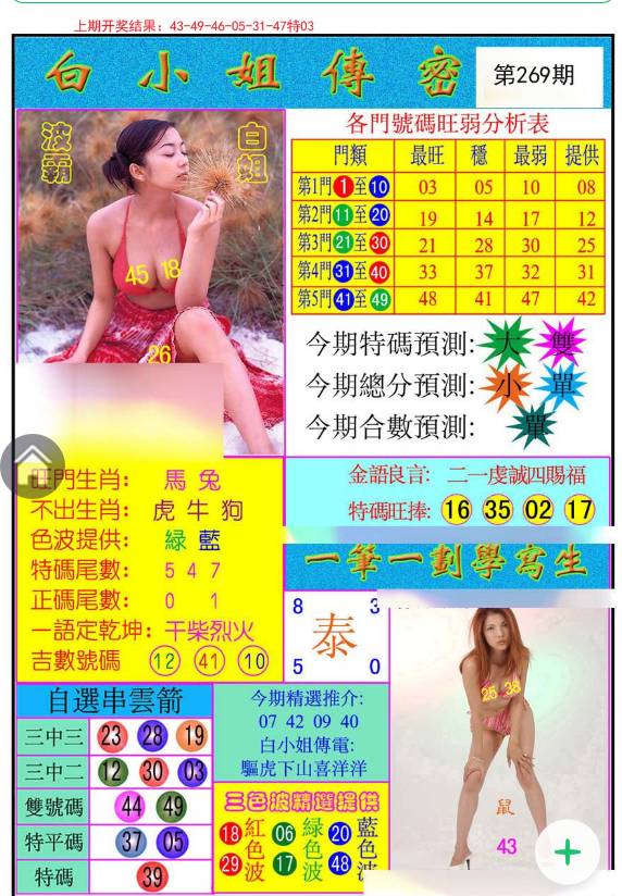 舊版澳門資料全年公開，澳門舊版資料全年公開概覽