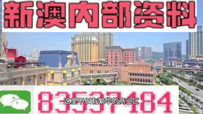 新澳新澳門正版資料，探索與解讀，新澳新澳門正版資料的探索與解讀