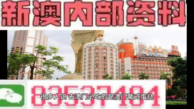 澳門內(nèi)部資料免費(fèi)公開，深度探索與解讀，澳門內(nèi)部資料深度解讀與公開探索