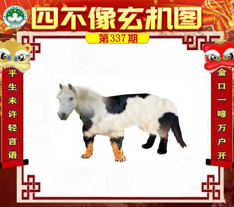 四不像今晚必中一肖—揭秘彩票背后的秘密，揭秘彩票背后的秘密，四不像預(yù)測今晚必中一肖的真相