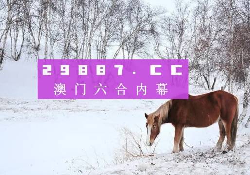 新澳門4949正版大全，澳門正版大全，揭秘新澳門4949彩票資訊