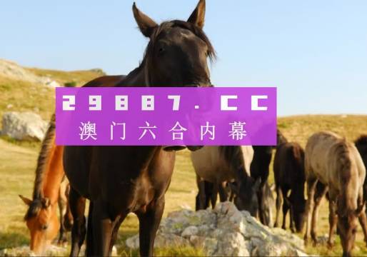 澳門管家婆一肖一碼100，揭秘彩票背后的秘密，揭秘彩票背后的秘密，澳門管家婆一肖一碼100真相探究