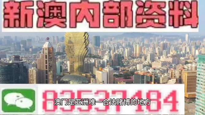 新澳門資料免費公開，展望2025年的無限可能，澳門未來展望，揭秘新資料，迎接2025年無限可能