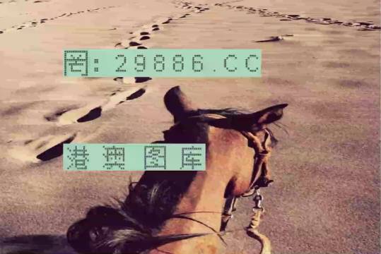 香港特馬資料王中王24期—深度解析與回顧，香港特馬資料王中王24期深度回顧與解析