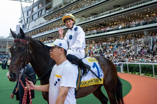 香港特馬王內(nèi)部資料免費公開，香港特馬王內(nèi)部資料揭秘，免費公開獨家情報