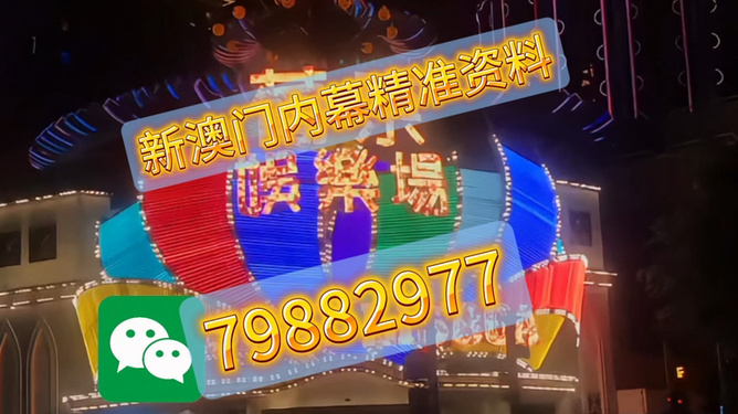 494949澳門今晚開什么，澳門今晚開獎號碼預(yù)測，494949揭曉時刻！