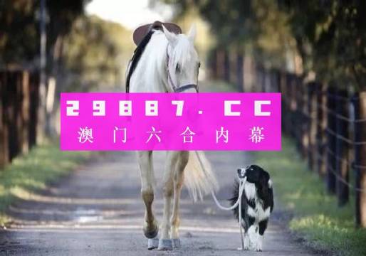 澳門49圖正版開(kāi)獎(jiǎng)，揭秘彩票背后的故事與魅力，澳門彩票背后的故事與魅力，揭秘正版開(kāi)獎(jiǎng)的49圖歷程