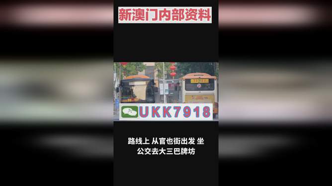 2025澳門特馬今晚買什么碼，澳門今晚特馬碼預測與購買建議