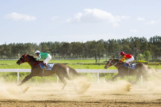 今晚澳門(mén)特馬王，澳門(mén)特馬王今晚開(kāi)獎(jiǎng)結(jié)果