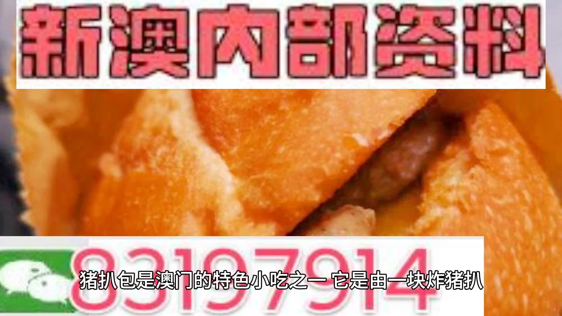 2025新澳精準資料大全，2025新澳精準資料大全手冊