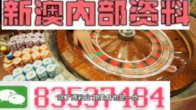 新門內(nèi)部資料精準(zhǔn)大全免費(fèi)觀看完整版，新門內(nèi)部資料精準(zhǔn)大全完整版免費(fèi)觀看指南