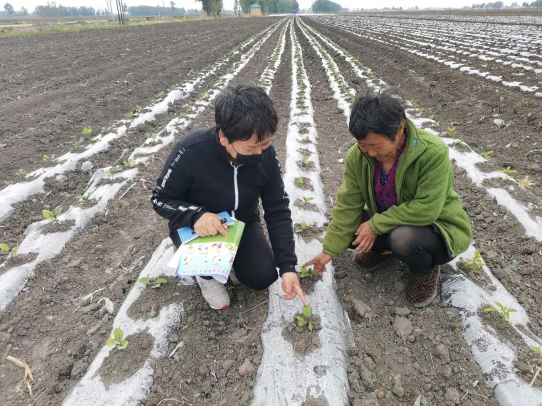 二四六天天彩免費資料大全最新版本亮點，二四六天天彩免費資料大全最新亮點版本解析