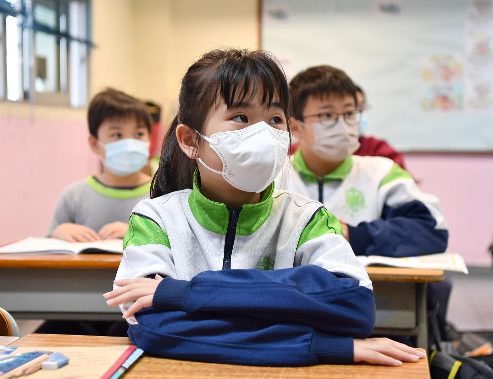 揭秘最準的香港一肖，歷史、預測與真相，揭秘香港最準生肖預測，歷史、真相與預測揭秘