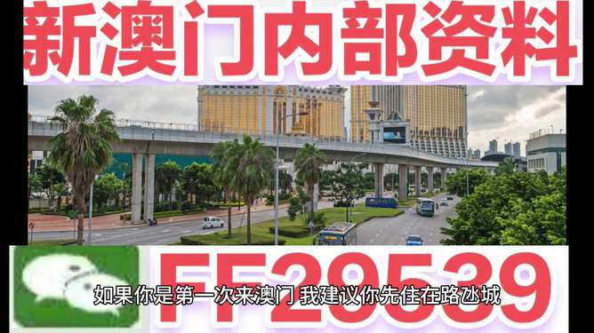 澳門今晚開獎結(jié)果號碼，揭秘彩票背后的故事與期待，澳門今晚開獎結(jié)果揭曉，彩票背后的故事與期待揭秘