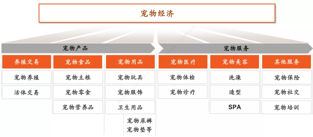 新奧門(mén)資料免費(fèi)大放送，展望2025年，新奧門(mén)資料免費(fèi)大放送，展望未來(lái)的繁榮之路（2025年展望）