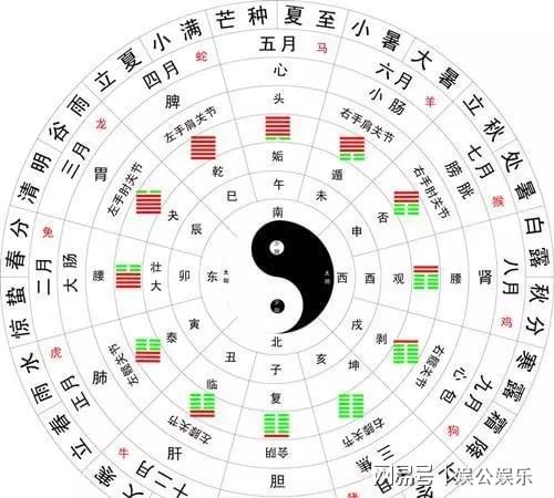 澳門一碼一肖一待一中四不像圖片2025，澳門一碼一肖一待一中圖片揭秘，神秘四不像圖片揭曉在即？
