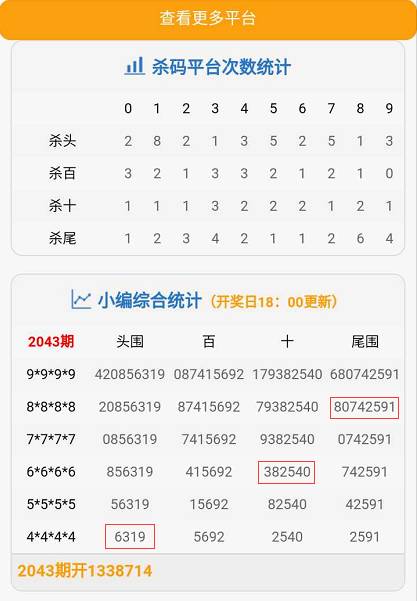 四肖八碼規(guī)律公式的奧秘探索，四肖八碼規(guī)律公式的奧秘揭秘