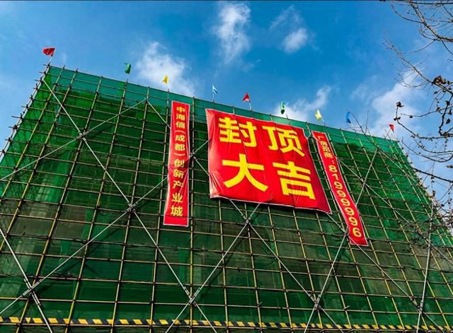 新澳門金牛網(wǎng)金牛版，新澳門金牛網(wǎng)金牛版，探索最新特色與玩法