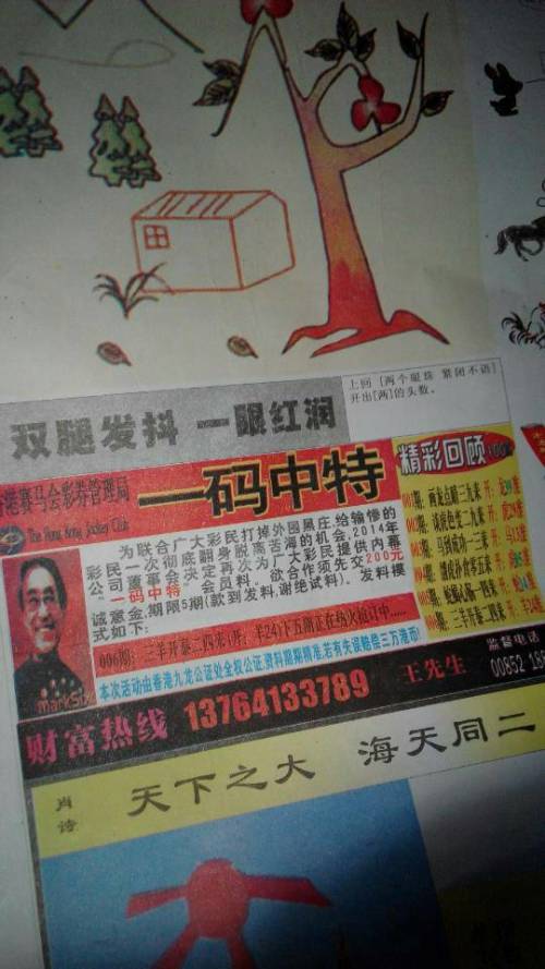精準王中王猜詩一肖，探尋詩意的生肖之謎，精準猜詩揭秘生肖之謎，探尋詩意生肖的奧秘