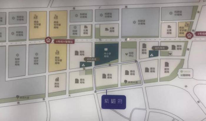 新港門內(nèi)部資料精準(zhǔn)大全，新港門內(nèi)部資料詳解大全