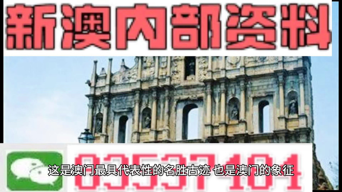 新澳門正版免費資料怎么查，澳門正版免費資料查詢指南
