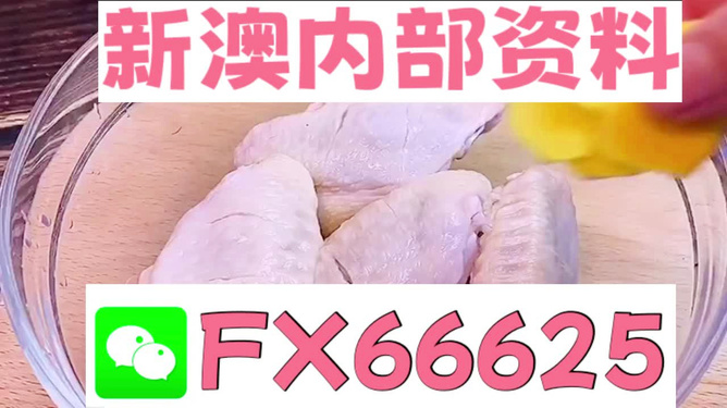 澳門一碼中精準一碼免費中特論壇，澳門一碼精準預測中特論壇