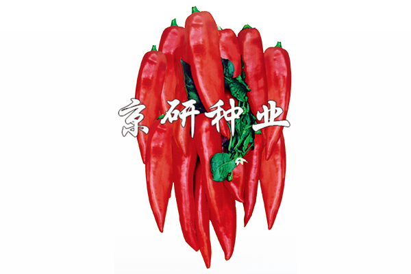 三肖三期必出特肖資料香港，香港三肖三期必出特肖資料揭秘