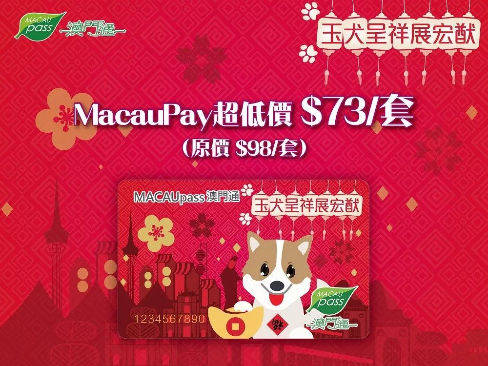 澳門正版資料大全資料生肖卡，澳門正版資料大全，生肖卡全收錄