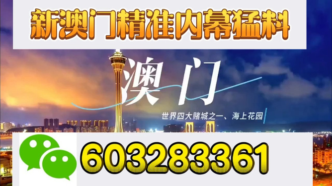 新澳門今晚開特馬結(jié)果查詢—揭秘彩票背后的故事，澳門彩票結(jié)果查詢，揭秘特馬背后的故事