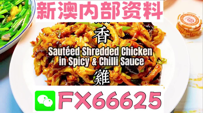 新奧精準(zhǔn)資料免費(fèi)提供（綜合版）導(dǎo)讀，新奧精準(zhǔn)資料綜合版導(dǎo)讀，免費(fèi)獲取詳細(xì)資料