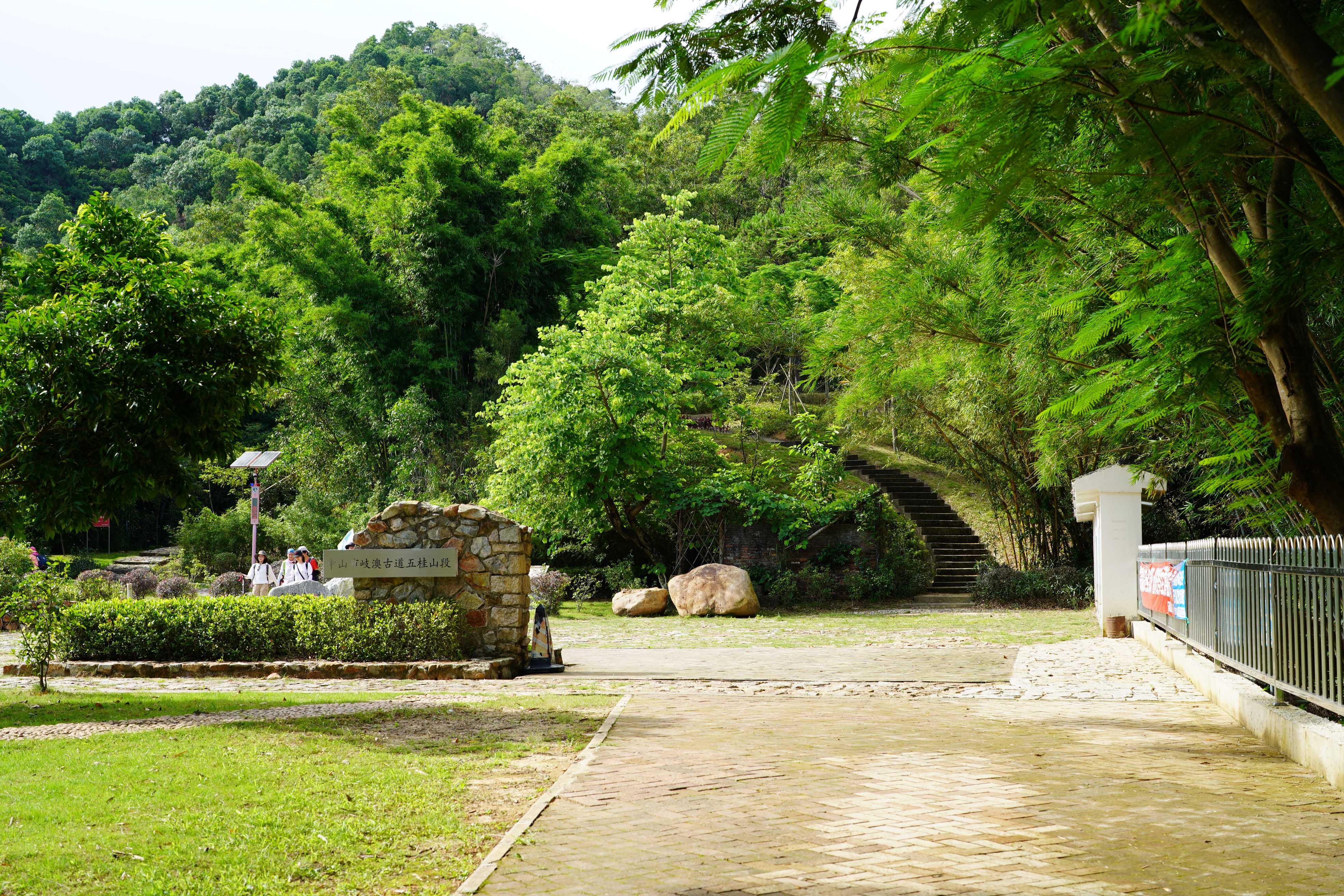 新澳門走勢圖分析圖，探索未來趨勢的藍(lán)圖，澳門走勢圖分析圖，揭秘未來趨勢藍(lán)圖