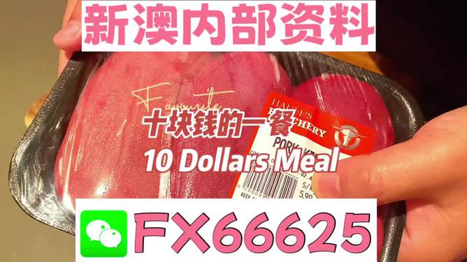 揭秘2025新澳精準(zhǔn)資料免費(fèi)背后的秘密，揭秘新澳精準(zhǔn)資料免費(fèi)背后的真相與秘密