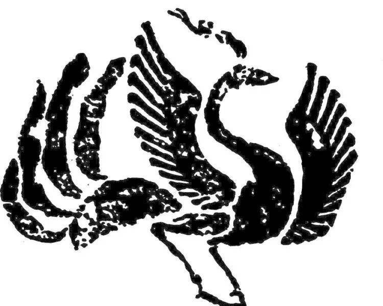 081987鳳凰論壇，一句解特背后的深度探討，鳳凰論壇深度探討，一句解特背后的含義與啟示