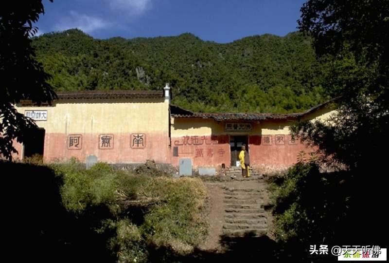 唐朝論壇新澳門資料，唐朝論壇新澳門資料概覽