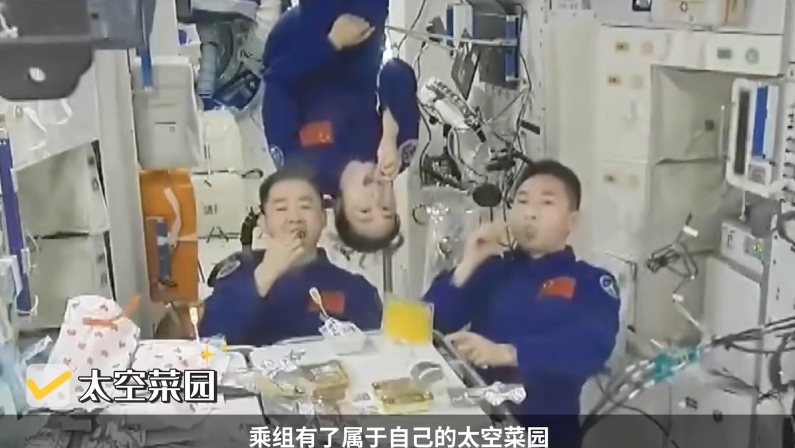 新澳天天高手資料大全，新澳天天高手資料全集