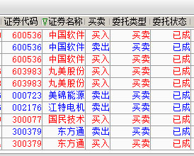 白小姐今特馬期期生肖的神秘面紗，白小姐揭秘生肖神秘面紗，今期生肖揭曉時刻