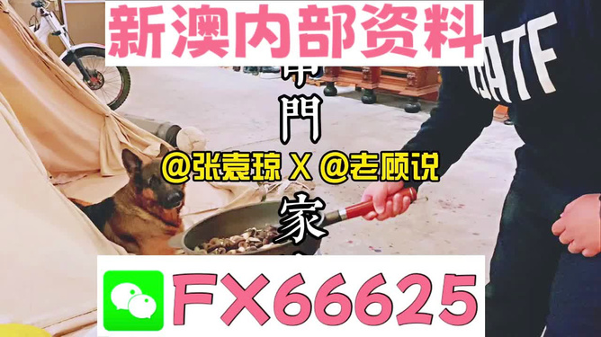 新澳門精準(zhǔn)資料大全—管家婆料的探索之旅，澳門精準(zhǔn)資料大全揭秘，管家婆料的探索之旅