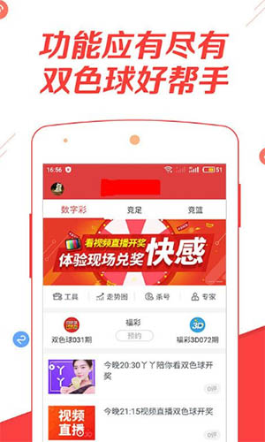 香港資料大全與正版資料的探索之旅，香港資料深度探索，正版資料與資訊大全之旅